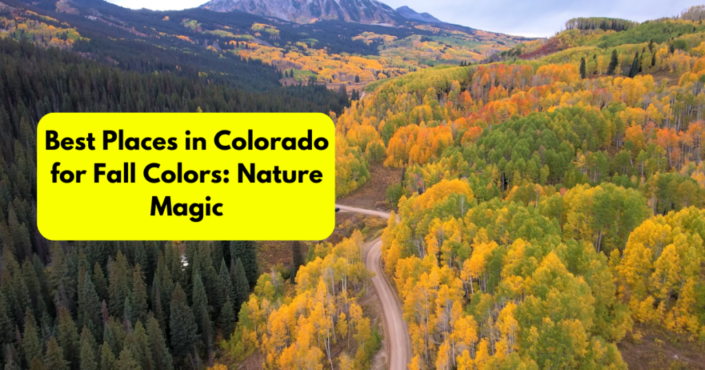 Best Places in Colorado for Fall Colors Nature Magic